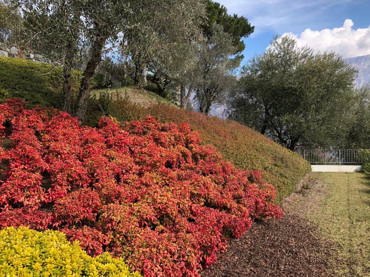 Villa Dei Sogni Μπελάτζιο Εξωτερικό φωτογραφία